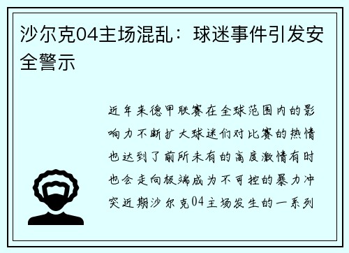 沙尔克04主场混乱：球迷事件引发安全警示